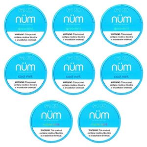 POUCHES DE NICOTINA NUM 6MG/12MG/ 24MG - NUM
