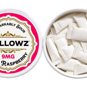 PILLOWZ POUCHES – SACHÊS DE NICOTINA