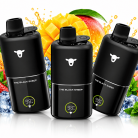 kit-black-sheep-duo-mix-30k-aparelho-refil-usb-c